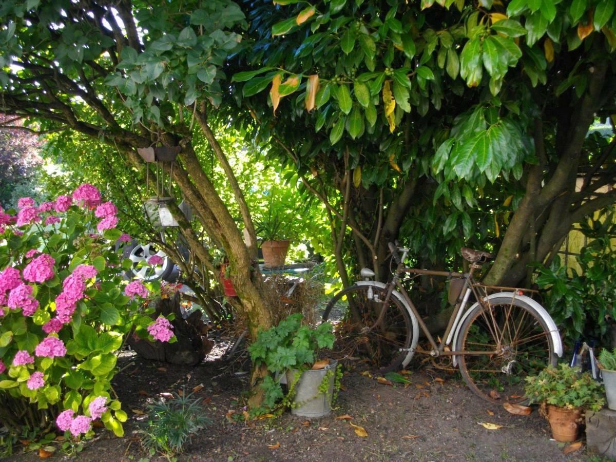 Au Bois Dormant Bed and Breakfast Huby-Saint-Leu Εξωτερικό φωτογραφία